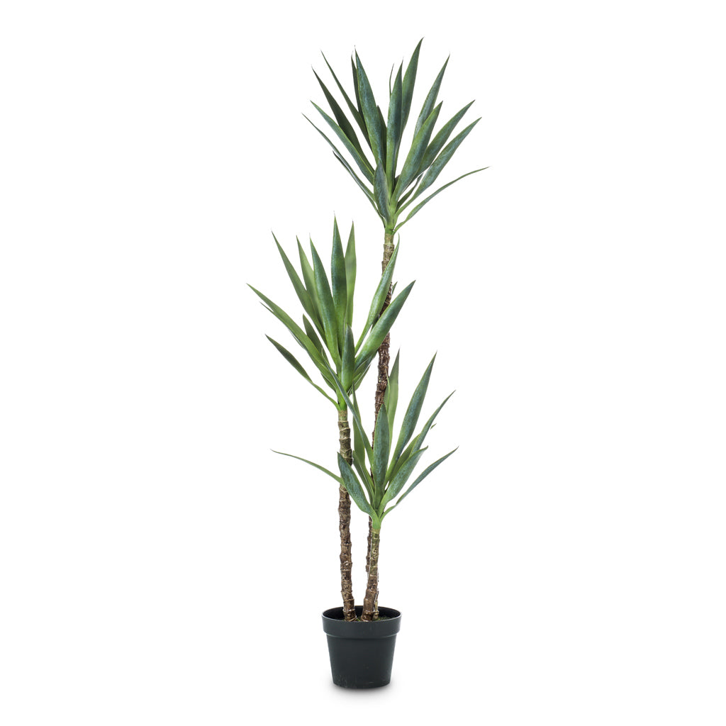 Yucca Artificial - 150cm - (3 Stems)