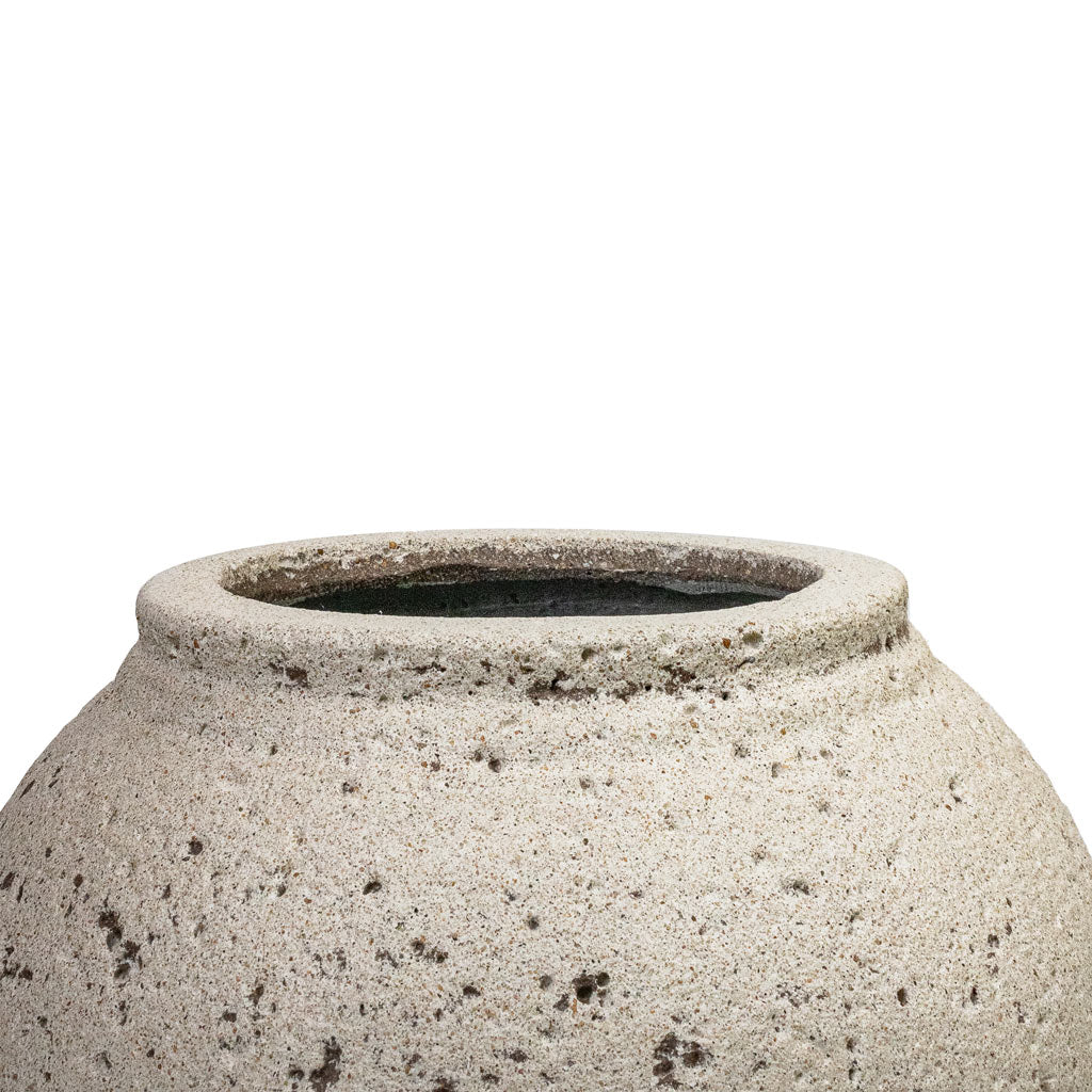 Zeus Mediterranean Planter - Chalk White Opening