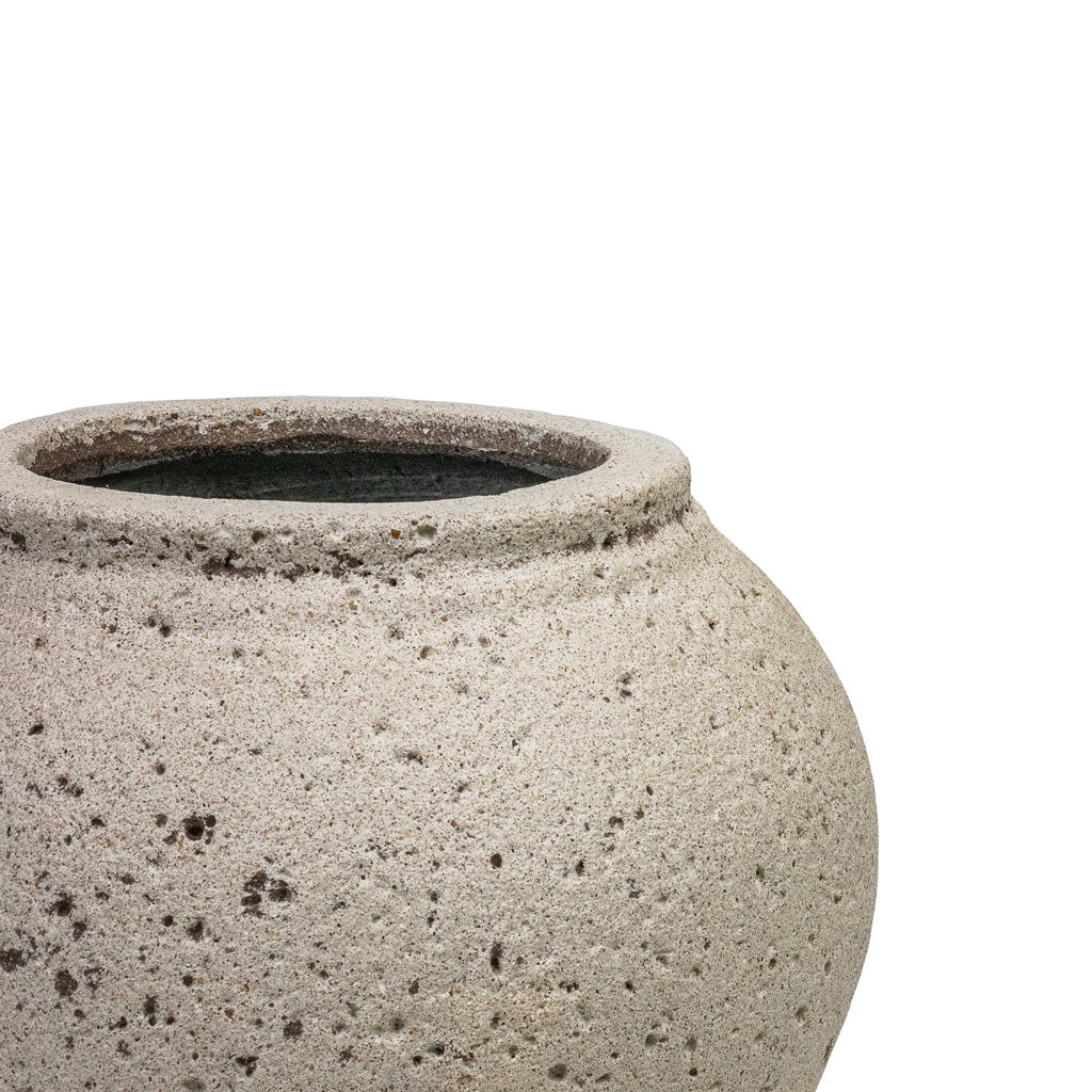 Zeus Mediterranean Planter - Chalk White Opening