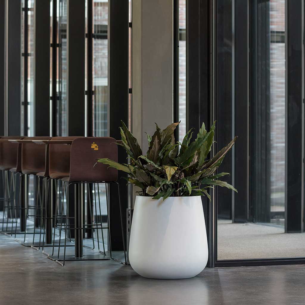 Pax Planters Essential Matte White Office Reception Plants