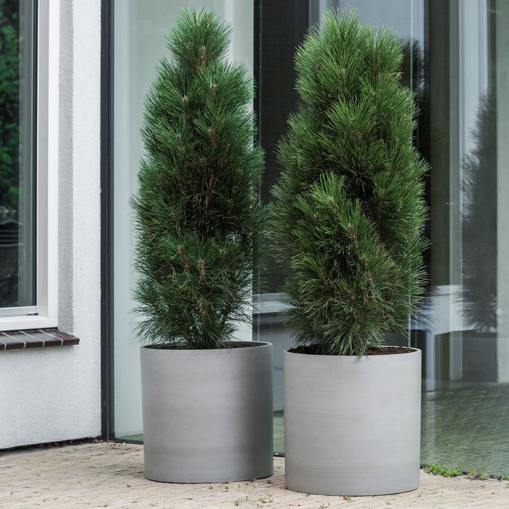 Max Refined Planter - Clouded Grey
