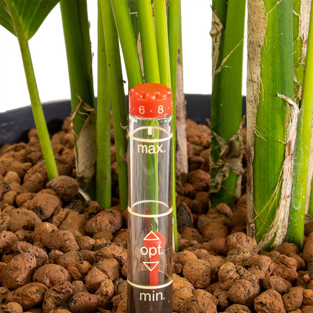 Add Water To The Optimum Level