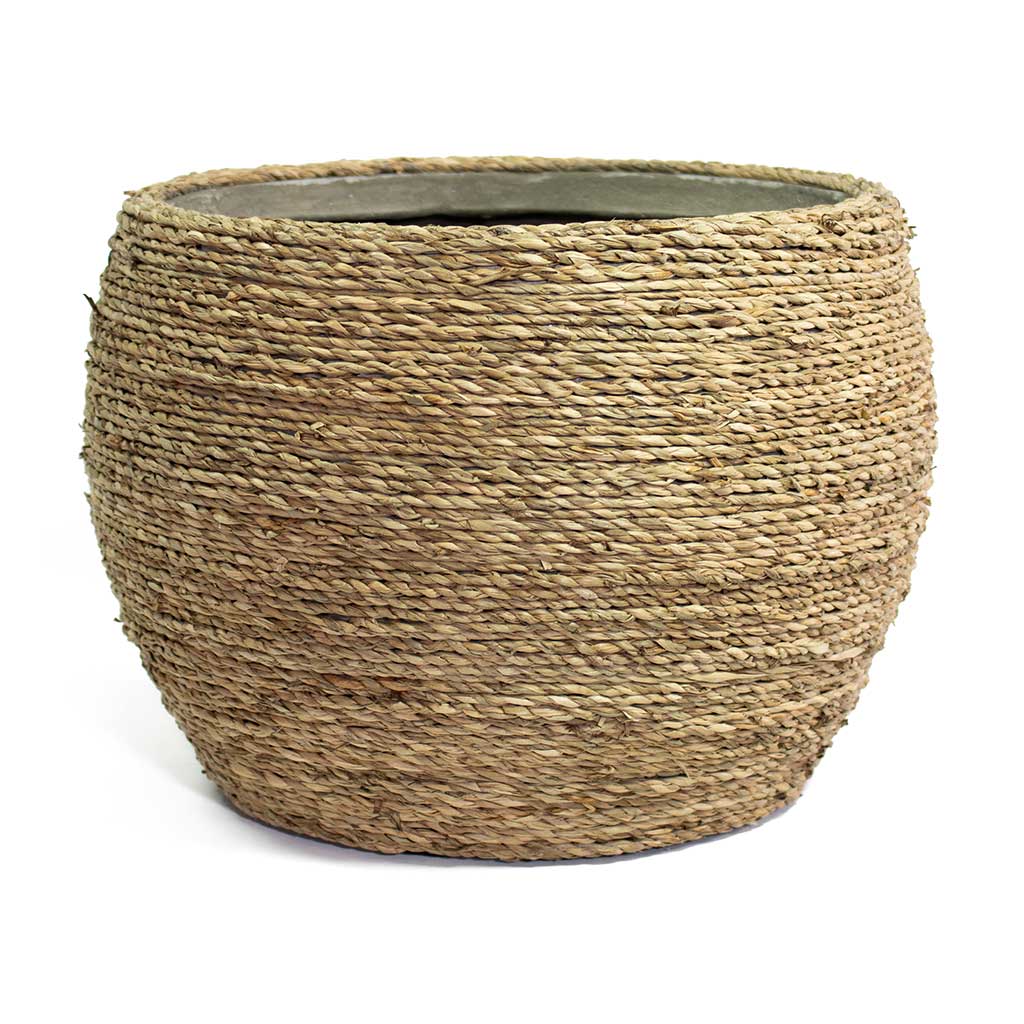 Abby Plant Pot Straw Grass Medium