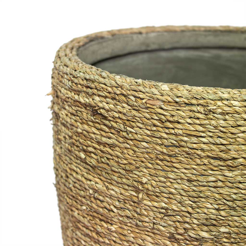Ben Plant Pot Straw Grass Close-Up
