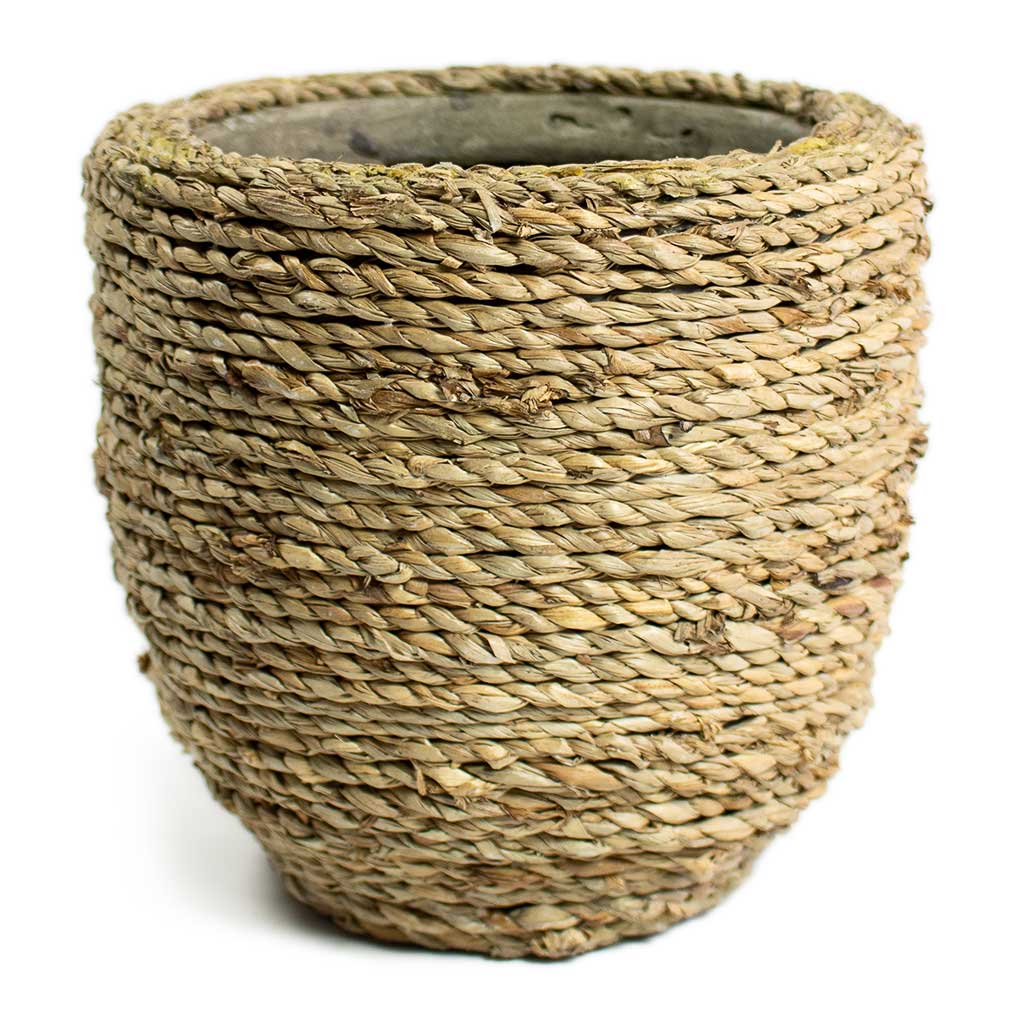 Cody Plant Pot Straw Grass Small