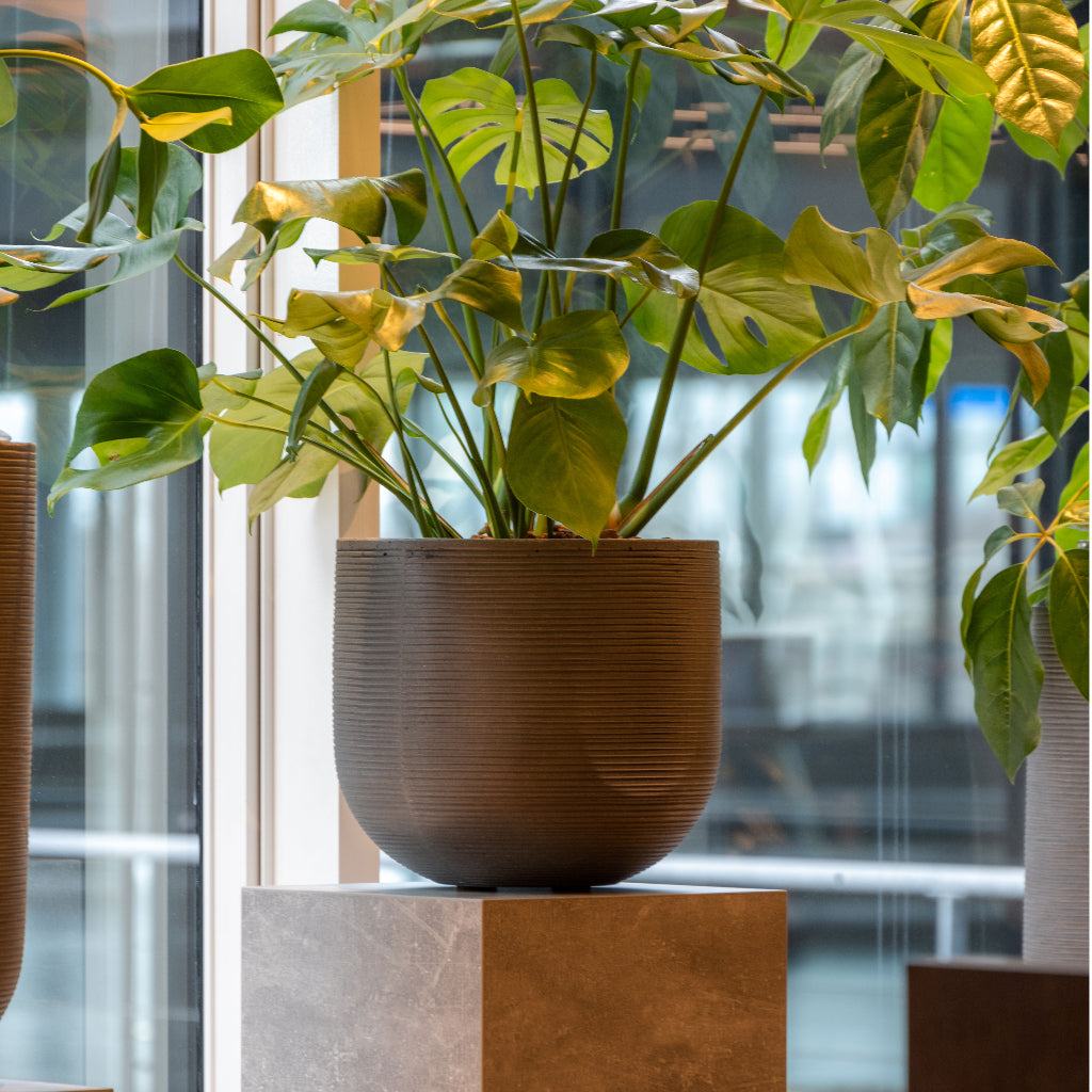 Cody Plant Pot - Ridged Dark Grey Window Display