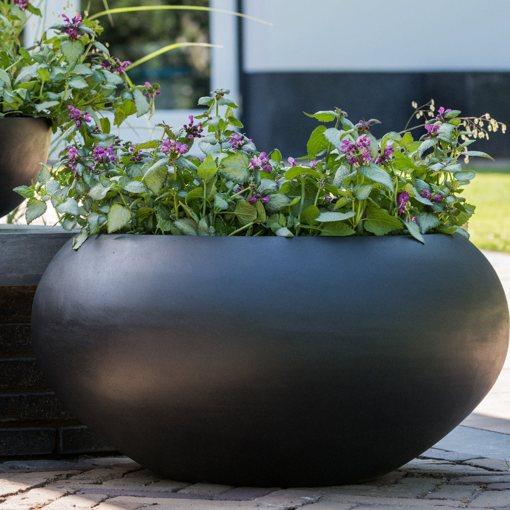 Cora Natural Bowl Planter - Black In Shade