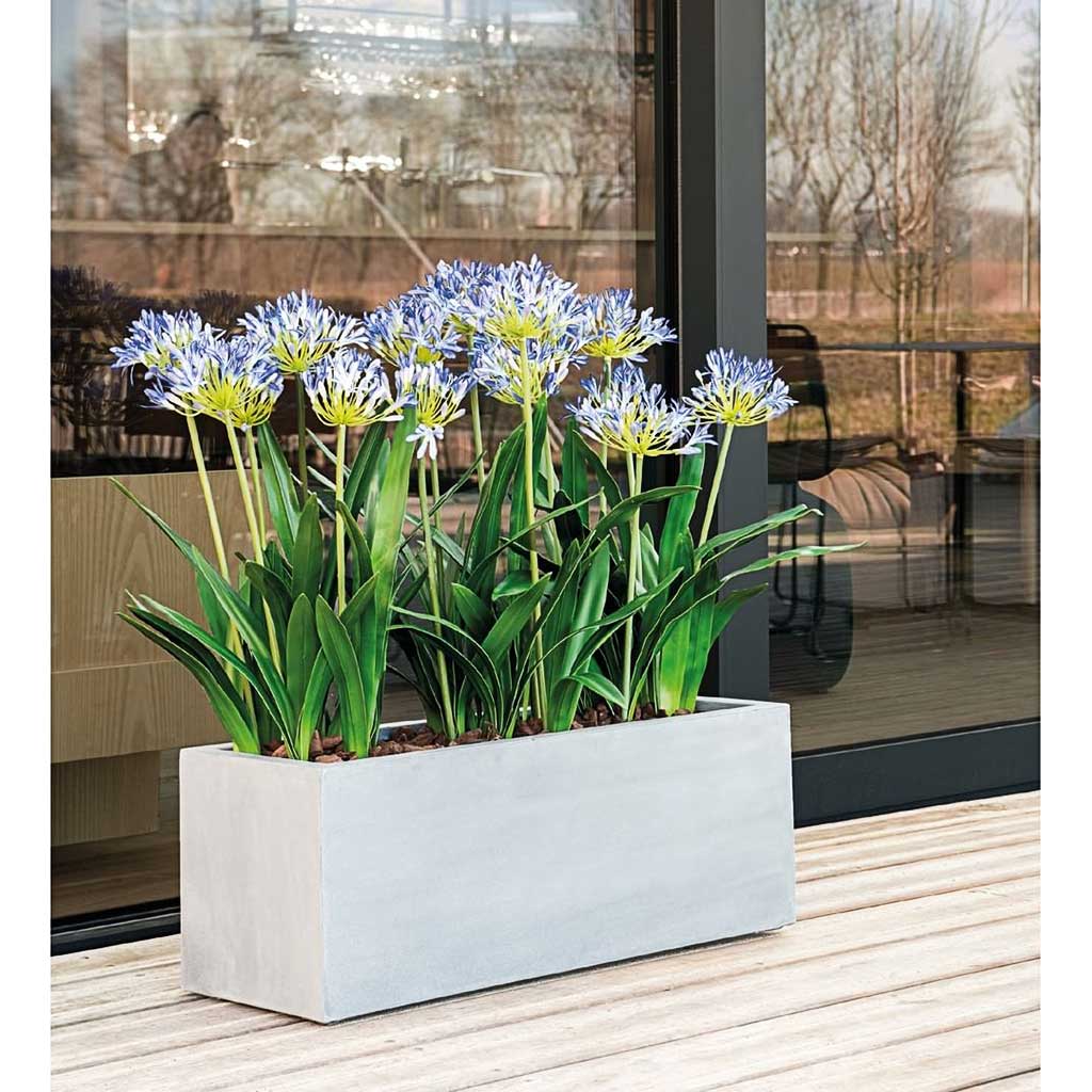 Grigio Trough Planter - Antique White Concrete & Plants