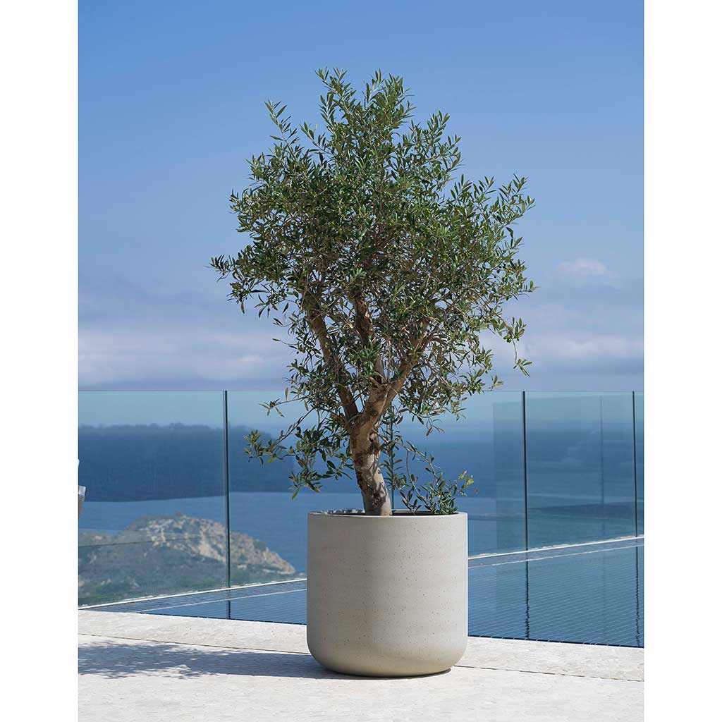Jumbo Charlie Planter - Stone Washed Poolside