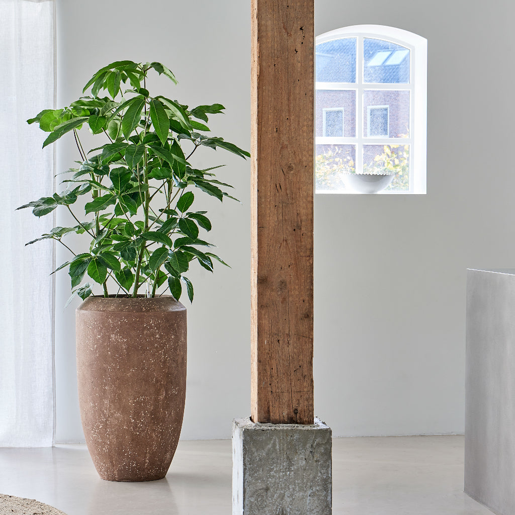Polystone Coated Plain Coppa Planter - Rock