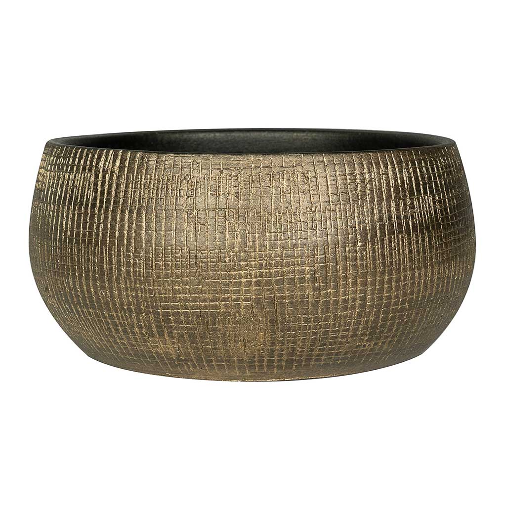 Ryan Plant Bowl - Shiny Gold