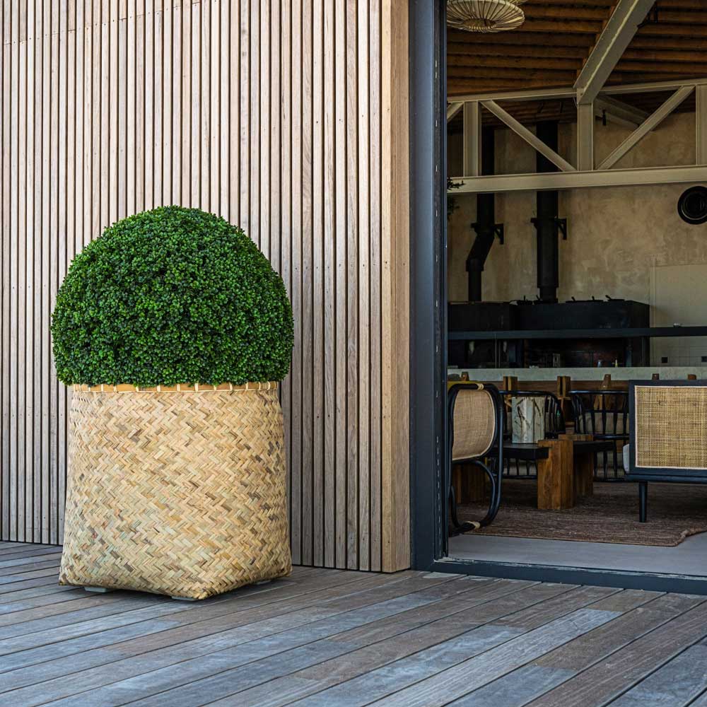Zayn Bamboo Planter Box Hedge
