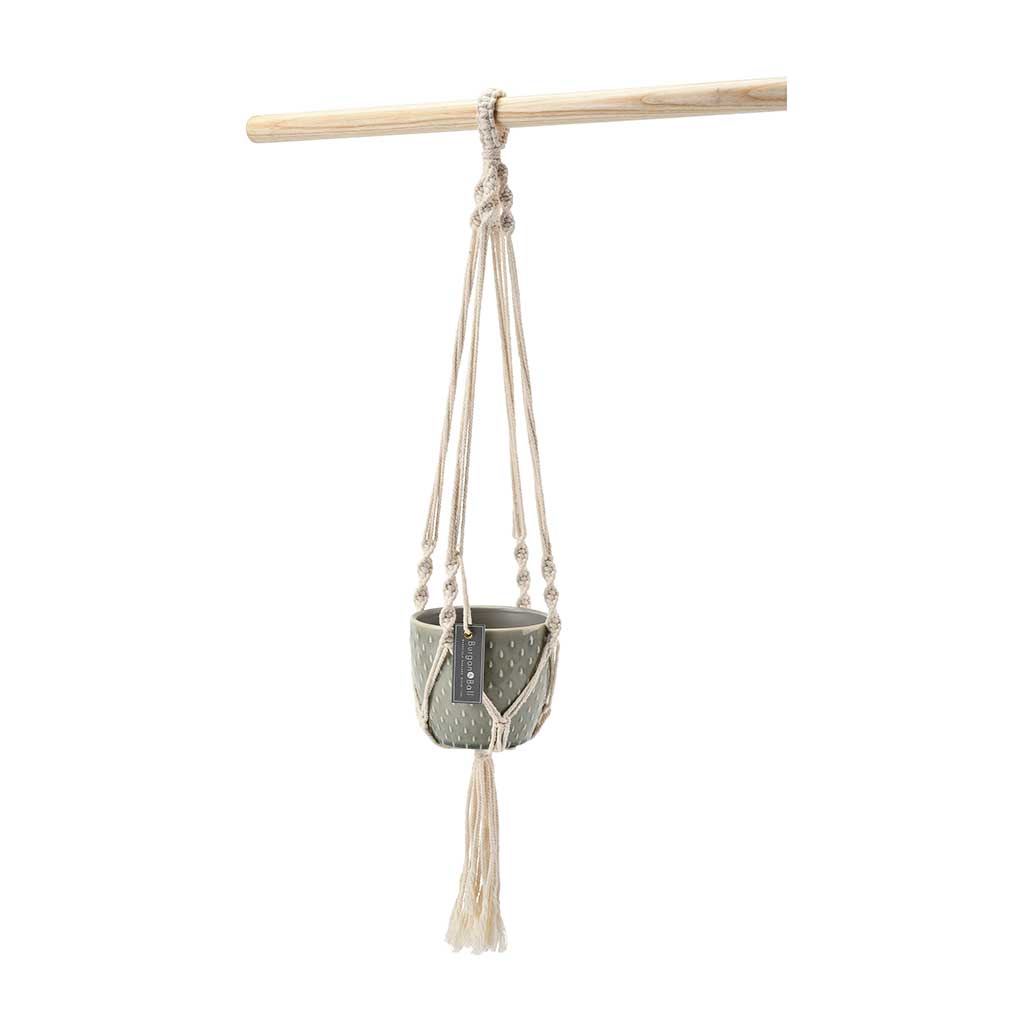 Macrame Hanging Plant Pot