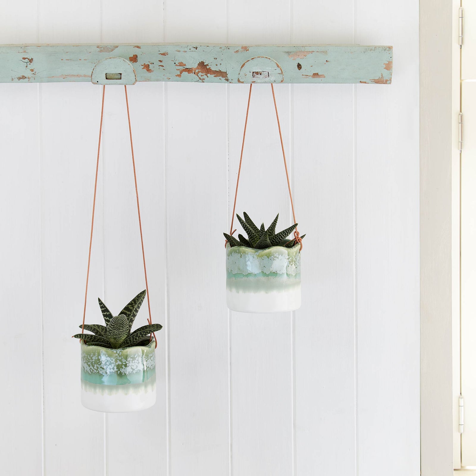 Wave Hanging Indoor Pots Planted
