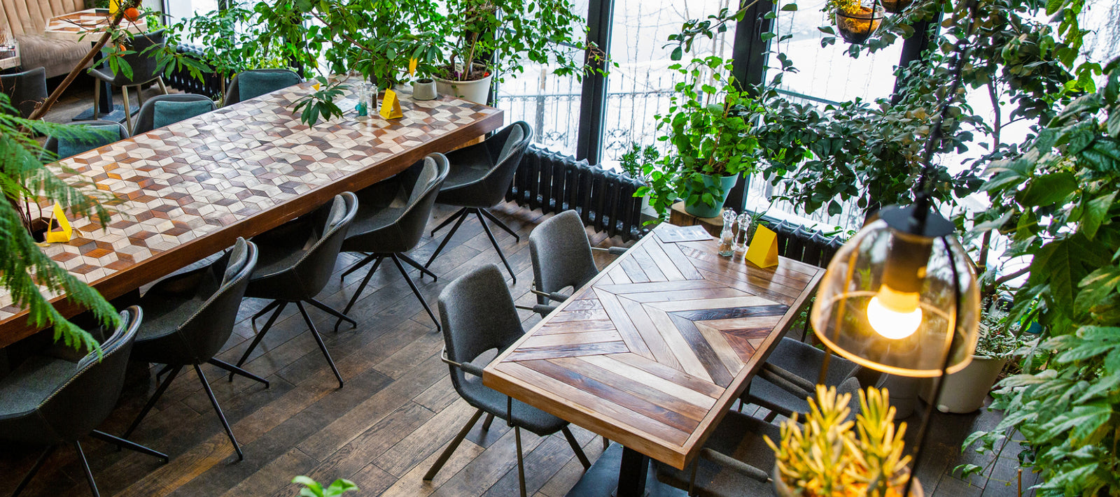 Trending Plants For Cafe & Restaurant Interiors