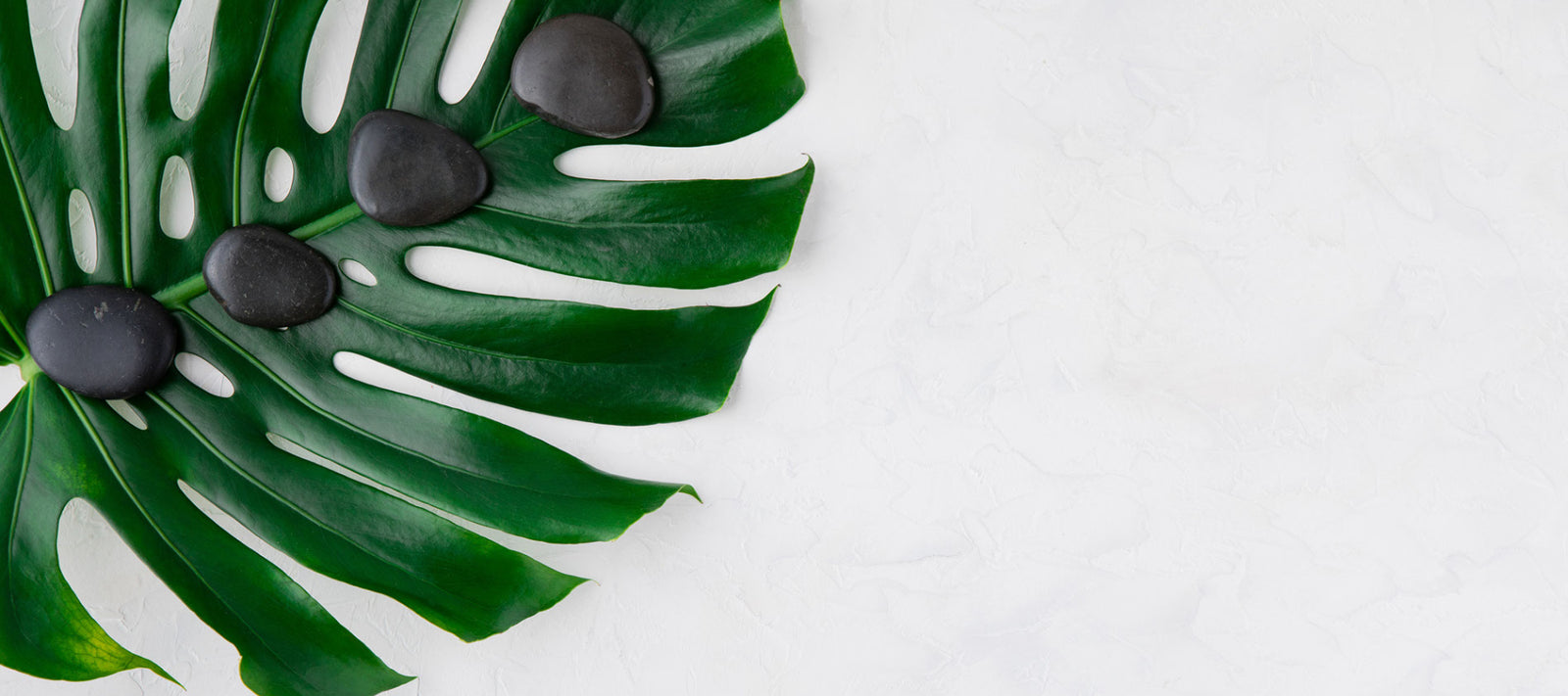 The Benefits Of Indoor Plants In The Health & Beauty Industry