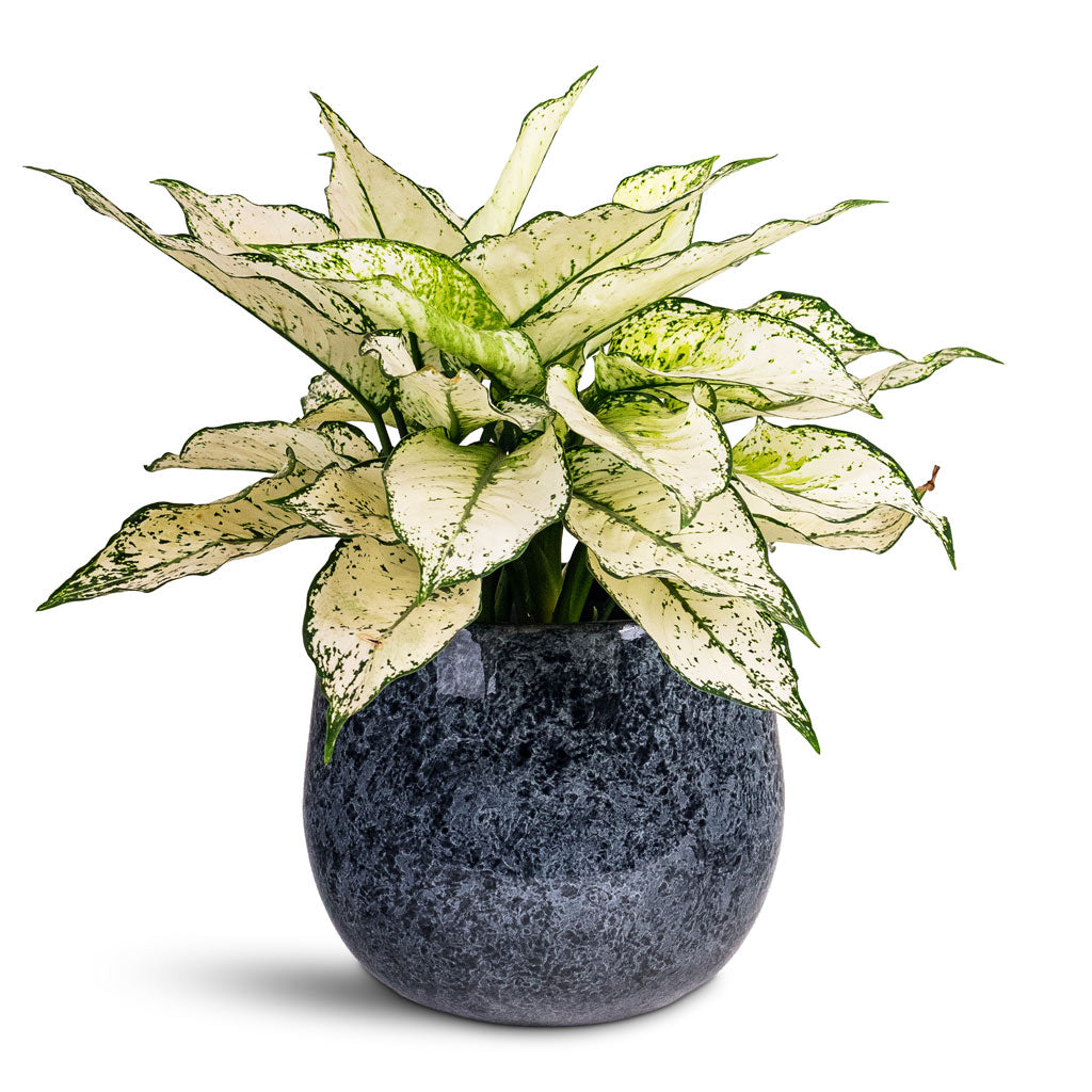 Emmie Metal Pot Mystic Blue 15x13cm