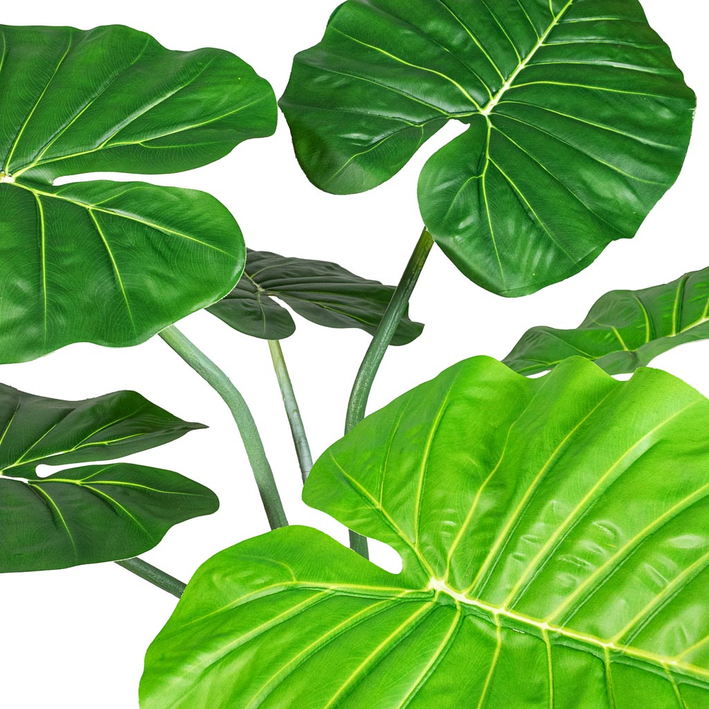 Alocasia Artificial Leaves Details 