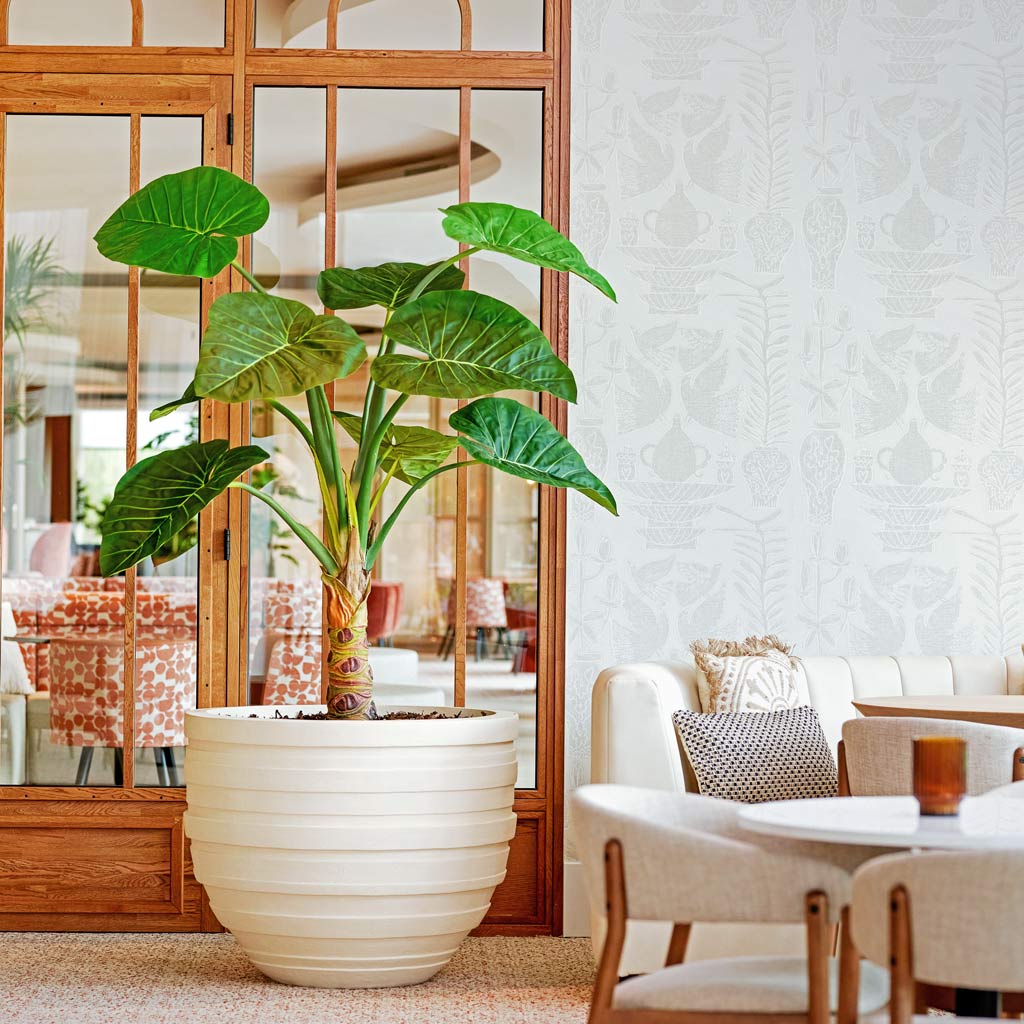 Alocasia Artificial In white Planter