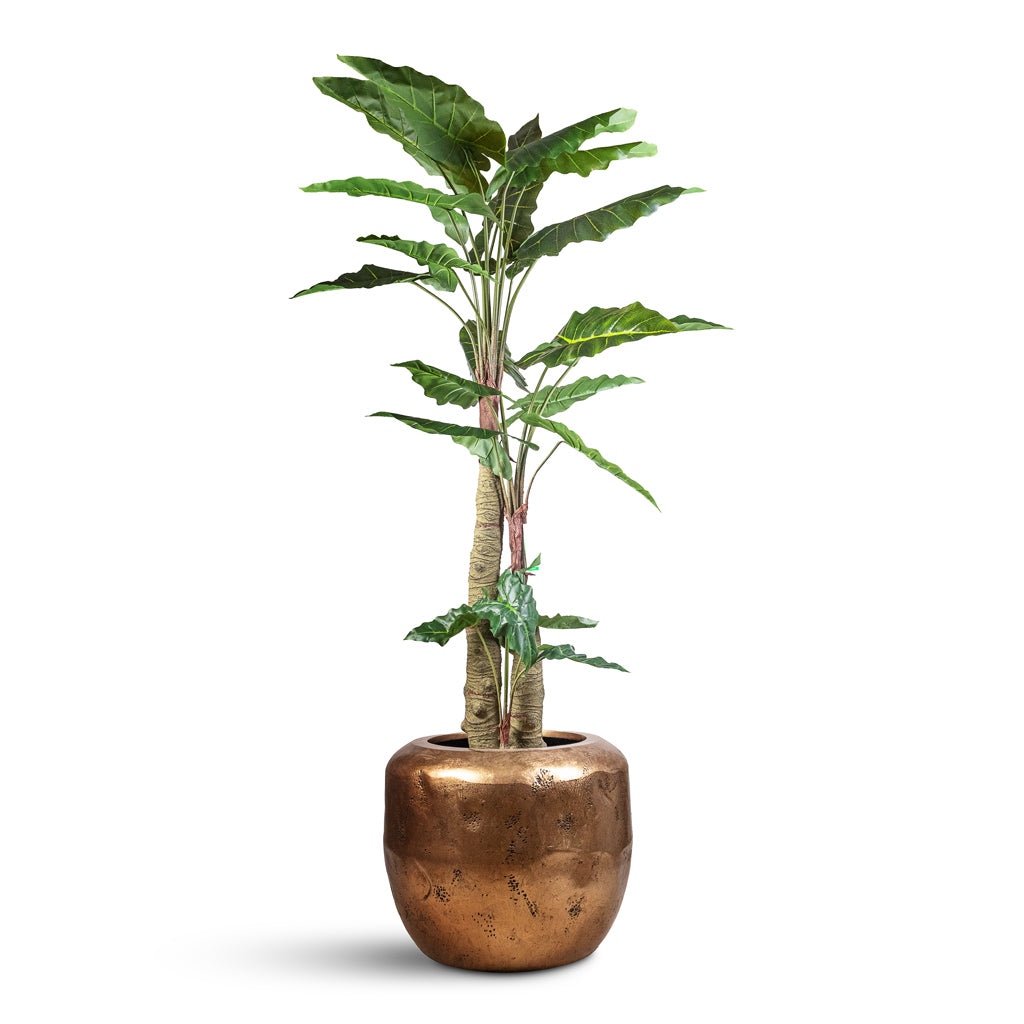 Alocasia Giant Tree Artificial In Opus Raw Couple Planter Gold