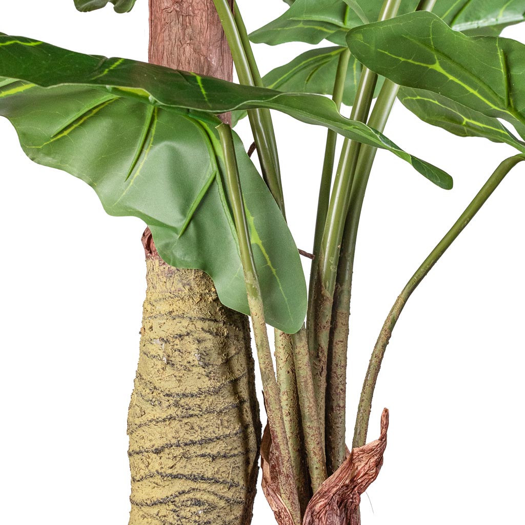 Alocasia Giant Tree Artificial Stem & Trunk