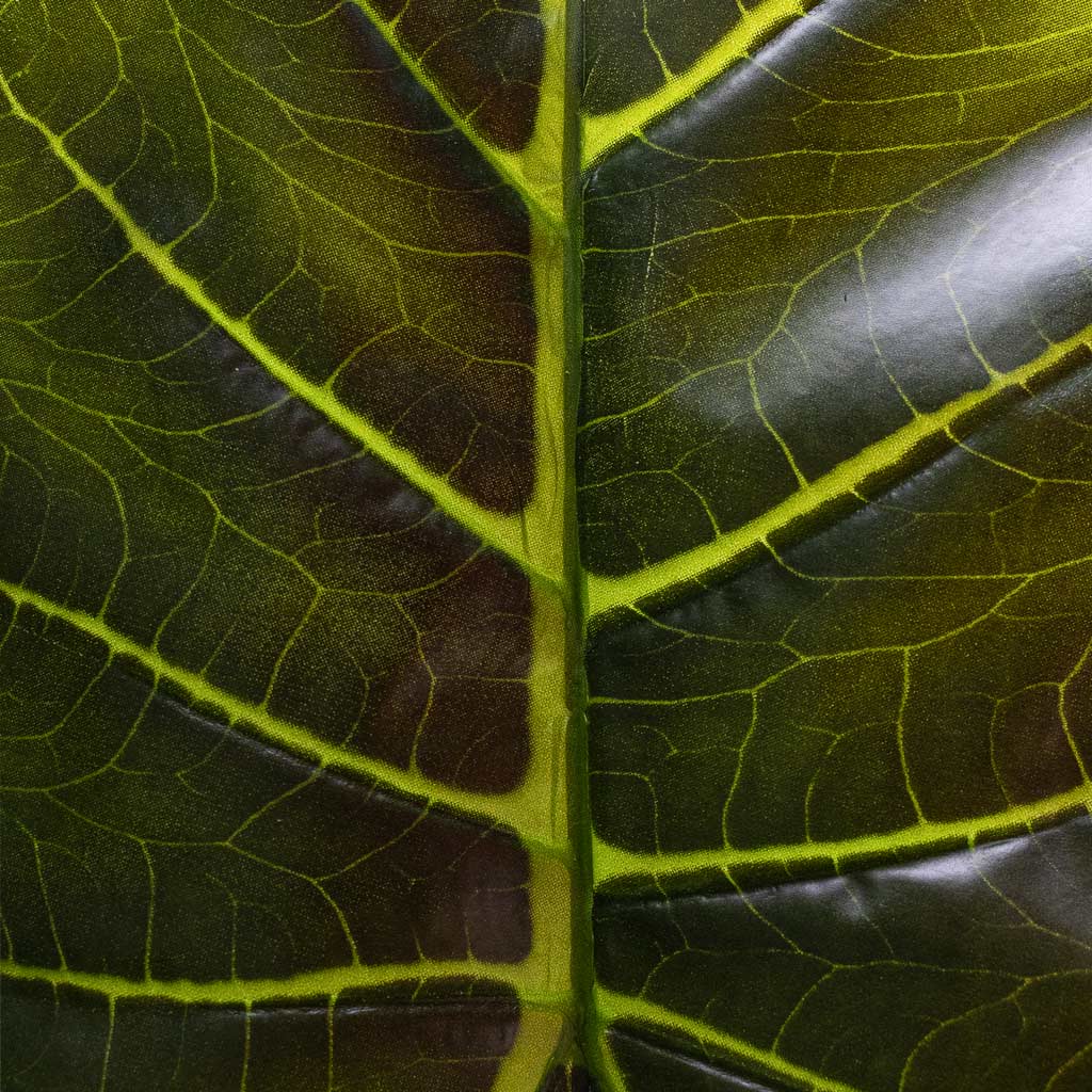 Alocasia Giant Tree Artificial Close Up Of Leaf