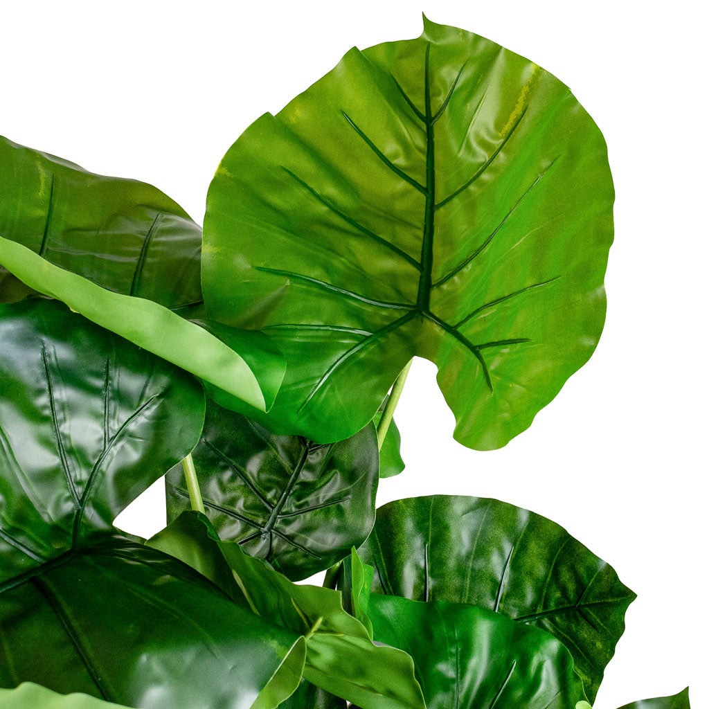 Alocasia Tree Artificial Close Up Of Leaves