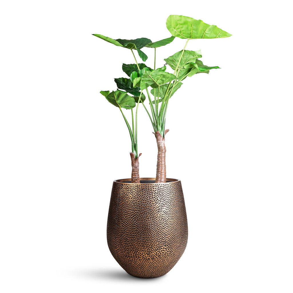 Alocasia Tree Artificial (2 stems) In  Opus Hit Darcy Planter Gold 
