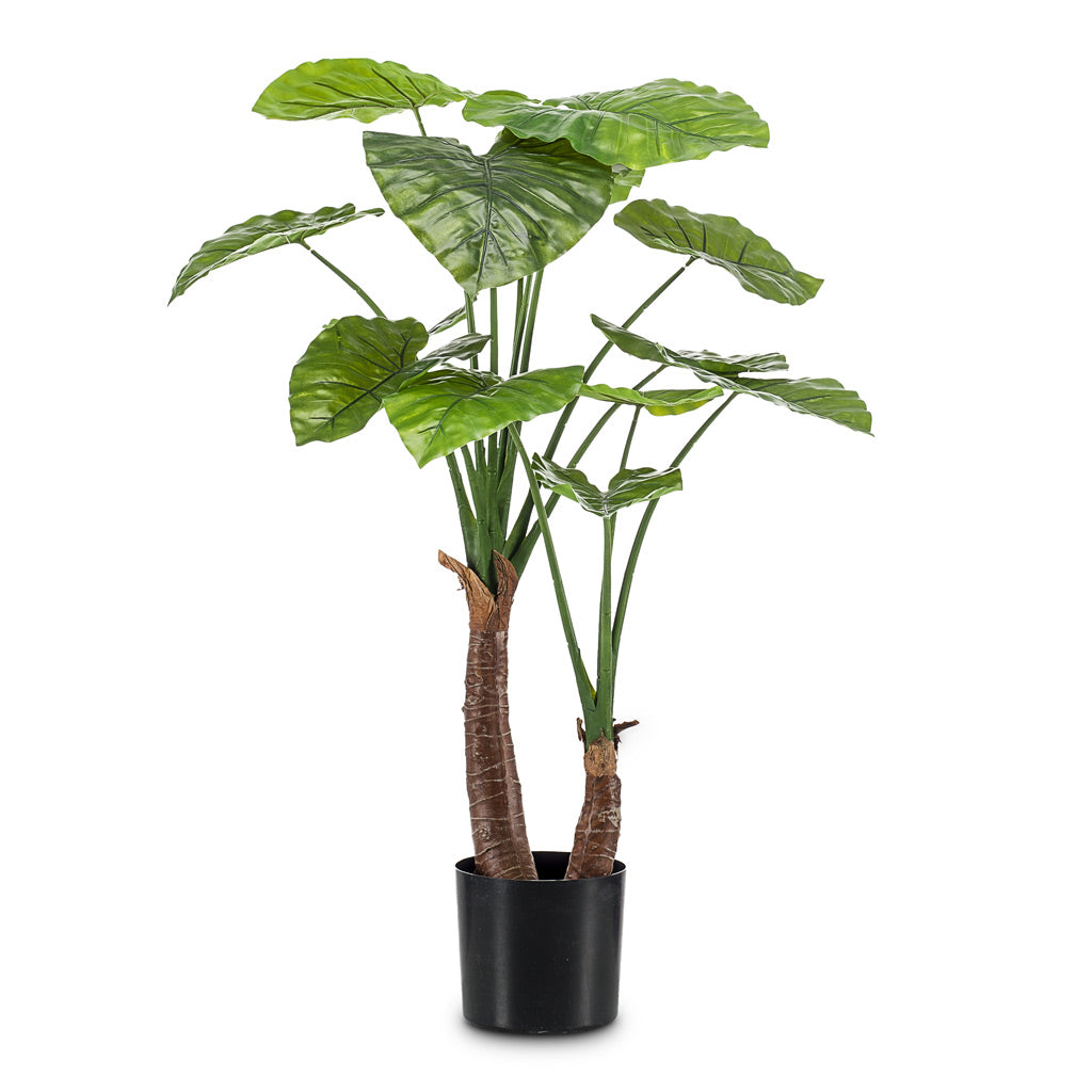 Alocasia Tree Artificial - 110cm - (2 Stems)
