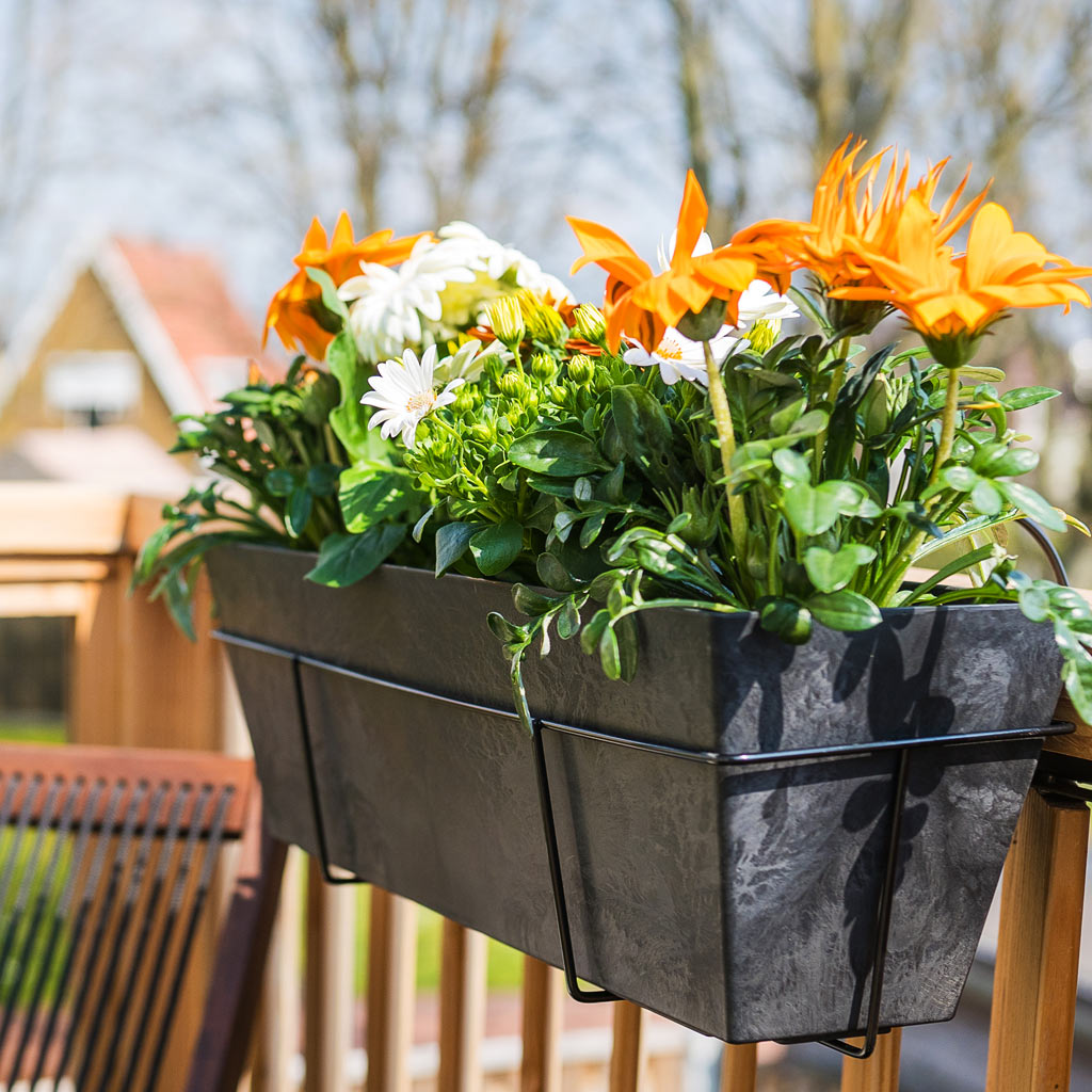 Ella Artstone Balcony Trough Planter - Black & Amy Holder With Lavendar