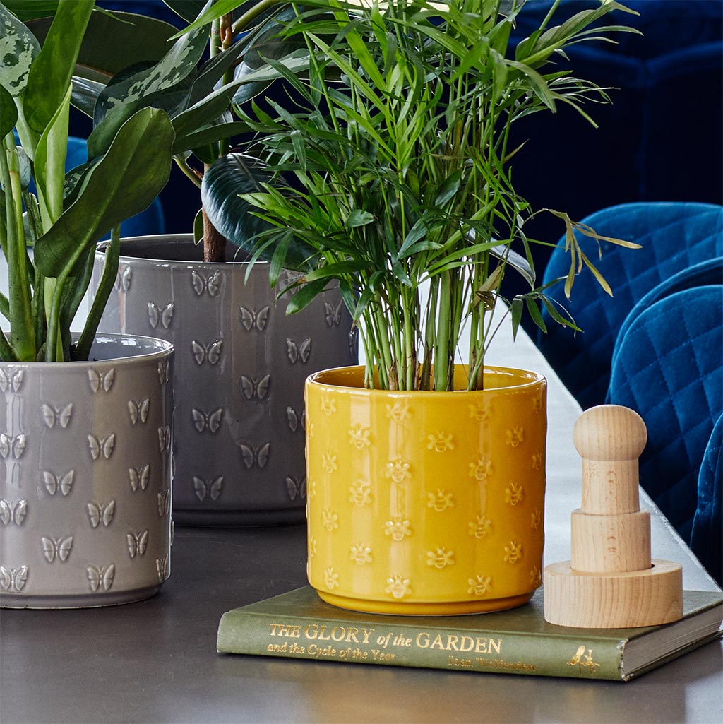 Arley Plant Pot - Yellow Bee - 14.5 x 15.5cm