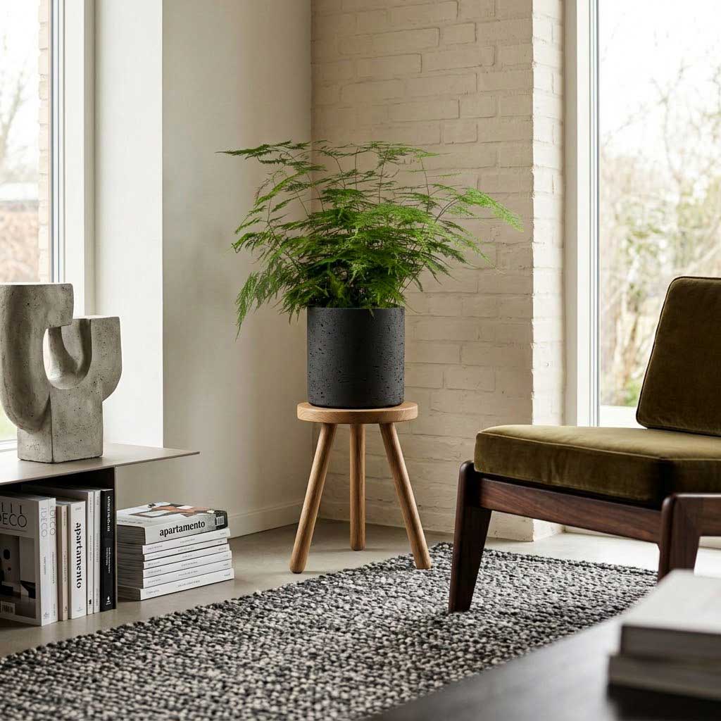 Puk Plant Pot - Black Washed 20cm