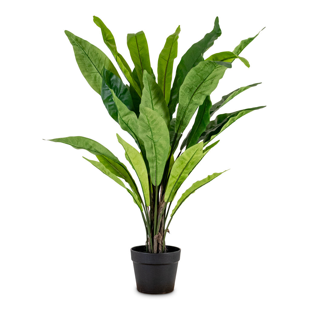 Asplenium Fern Potted Artificial 90cm