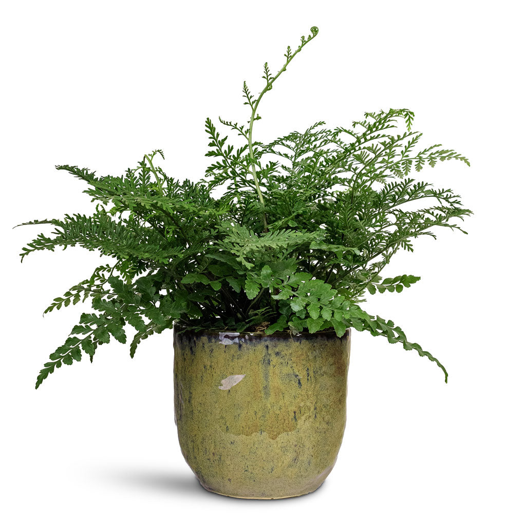 Brian Pot Marrakesh 14x13cm