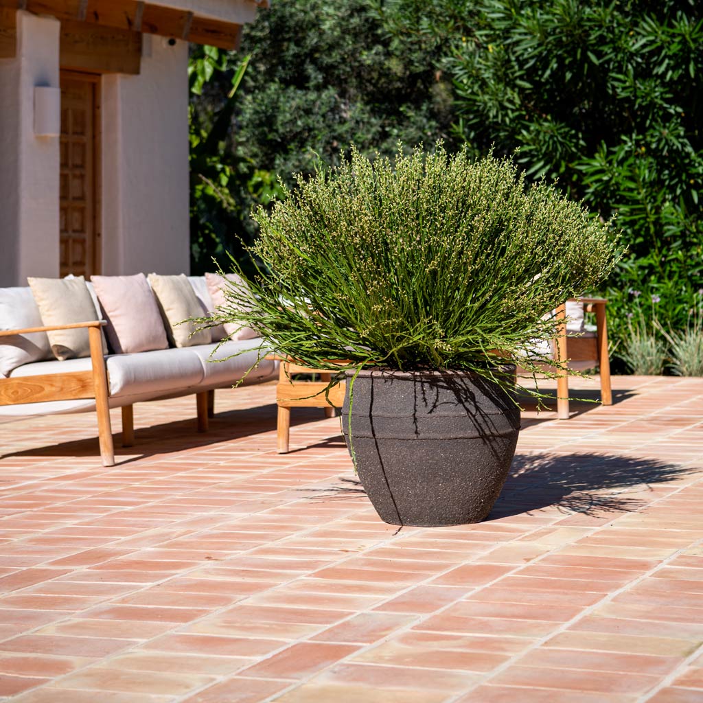Athena Mediterranean Planter Umber Brown 40.5x33cm