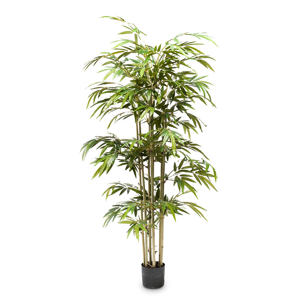 Bamboo Artificial - 150cm - (7 Stems)