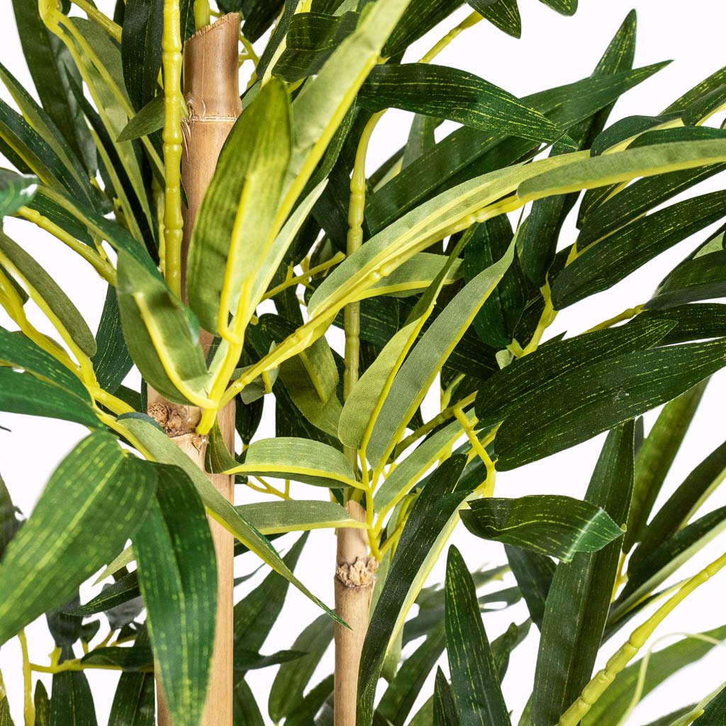 Bamboo Artificial Close Up 
