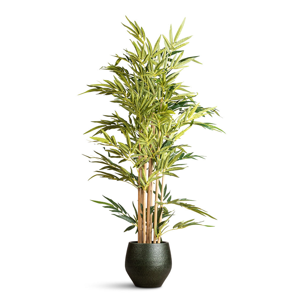 Bamboo Artificial - 150cm In Noor Pot Velvet Green - 27x25cm