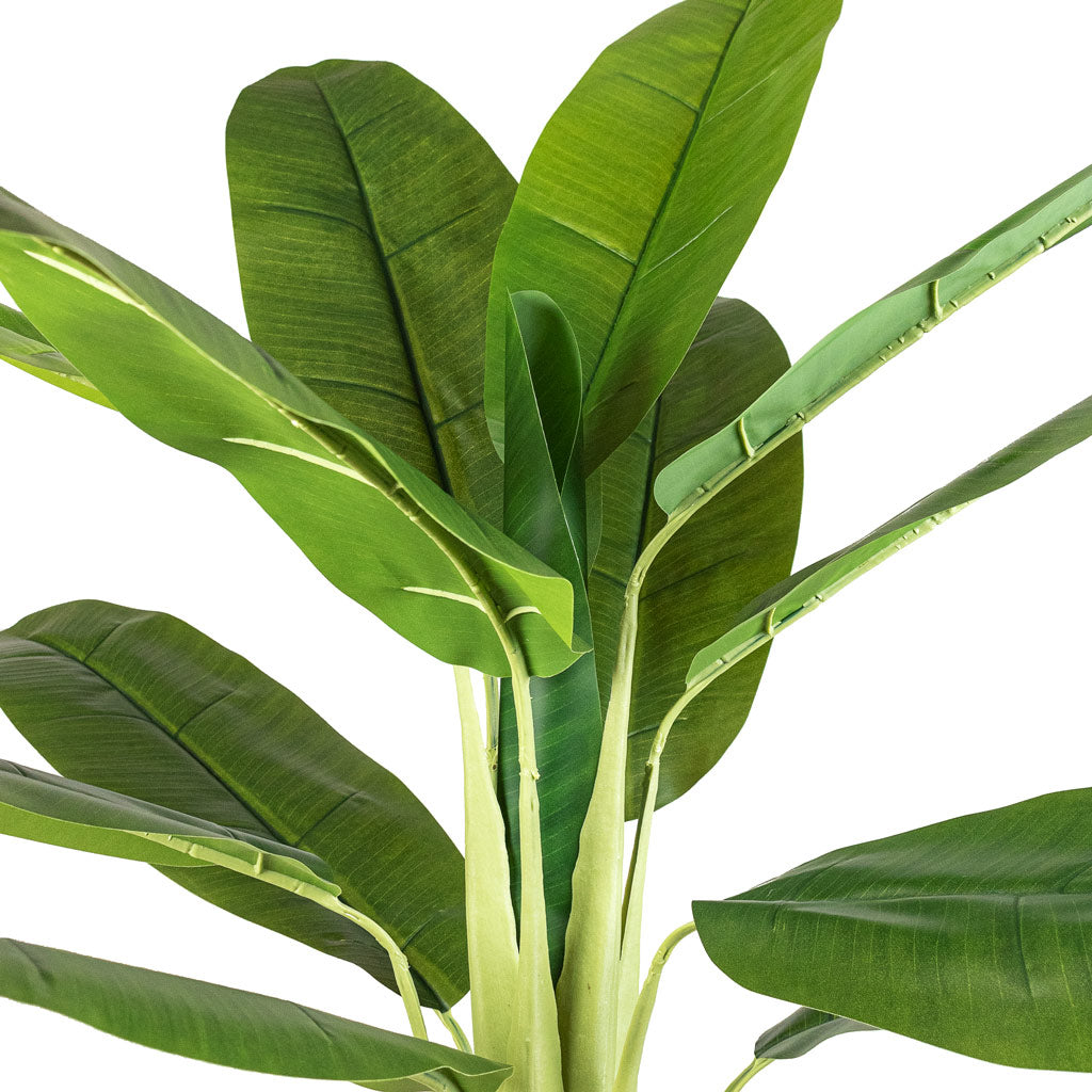 Banana Tree Artificial In Igmar Basket Natural