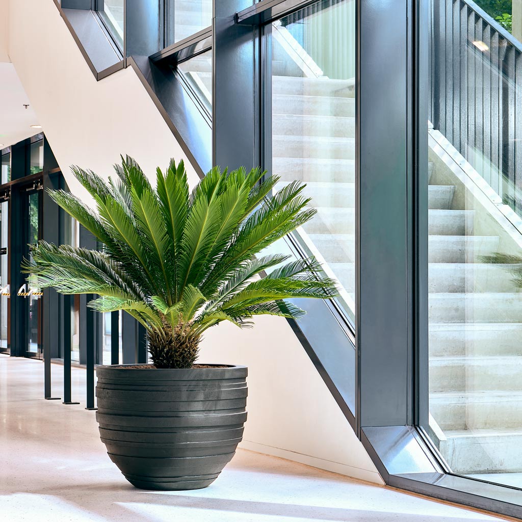 Polystone Coated Junar Planter Smoke 90x72cm