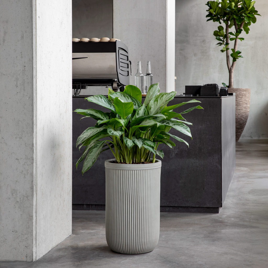 Vertical Rib Tall Planter Beige 37x57cm