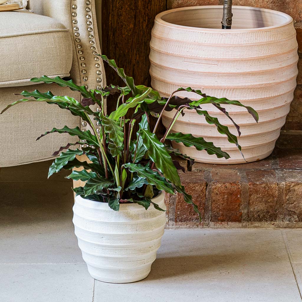 Beatrice Pot White - 24x24cm