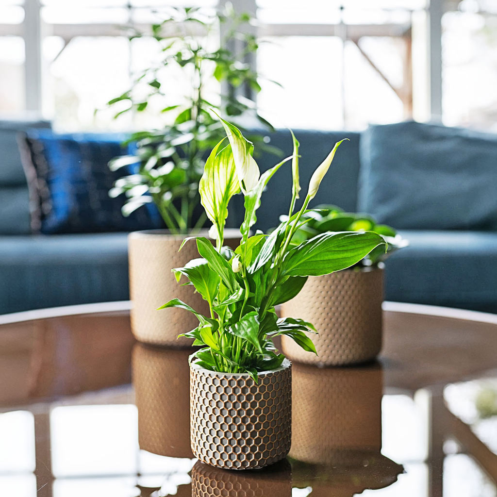 Bernt Plant Pot Shiny Gold - 17x14cm