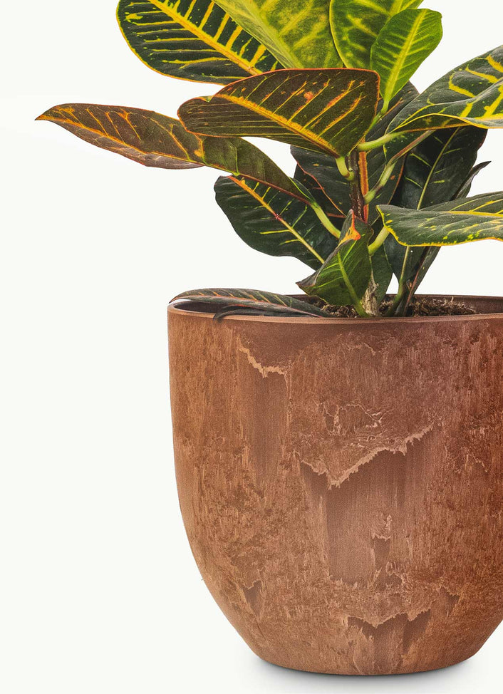 Outdoor Planters