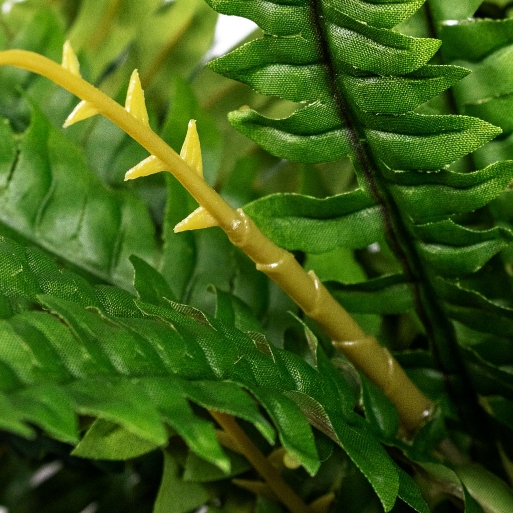 Boston Fern Artificial Close Up Of Leaves 