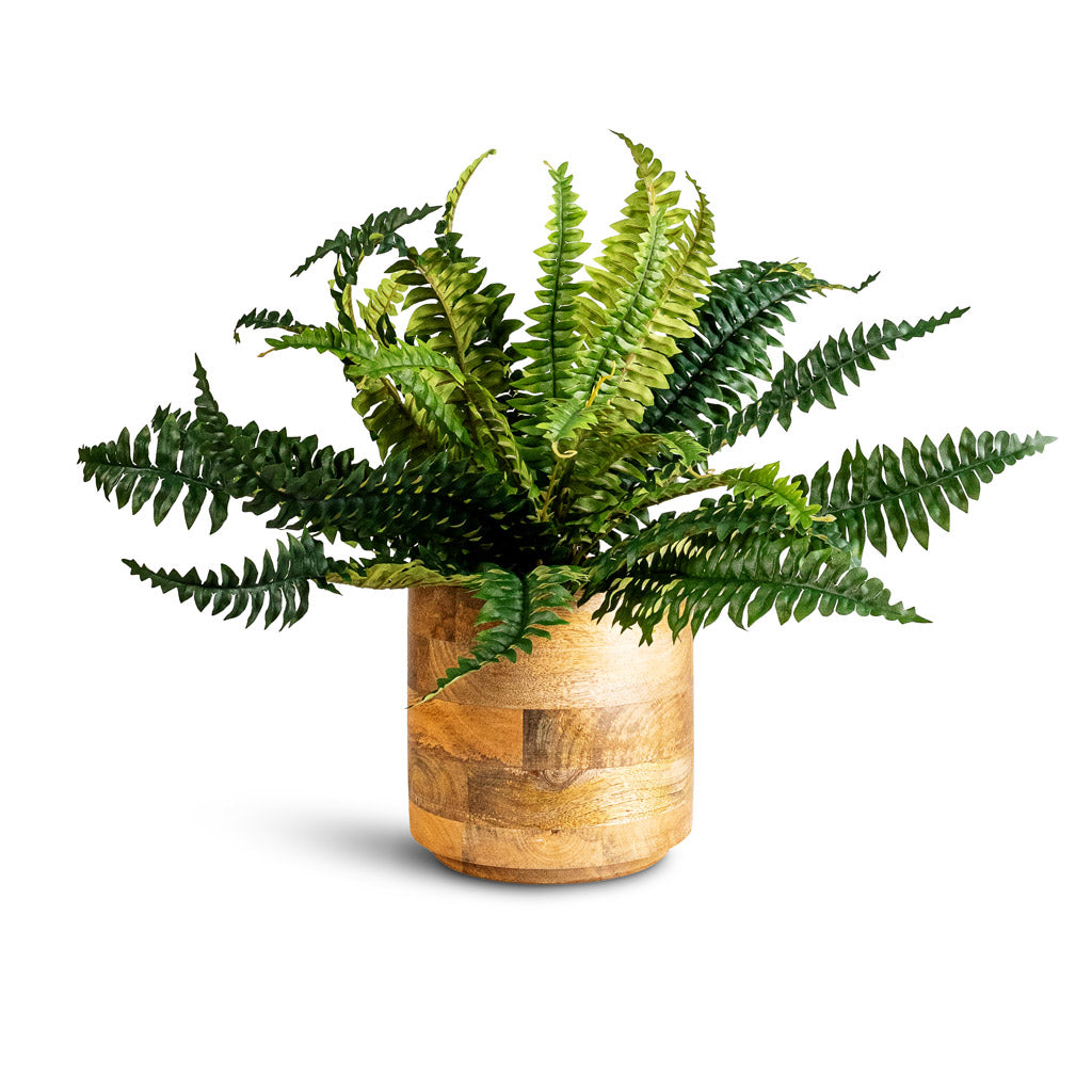 Boston Fern Artificial 45cm - 25 stems_ In Helle Pot Natural - 19x18cm