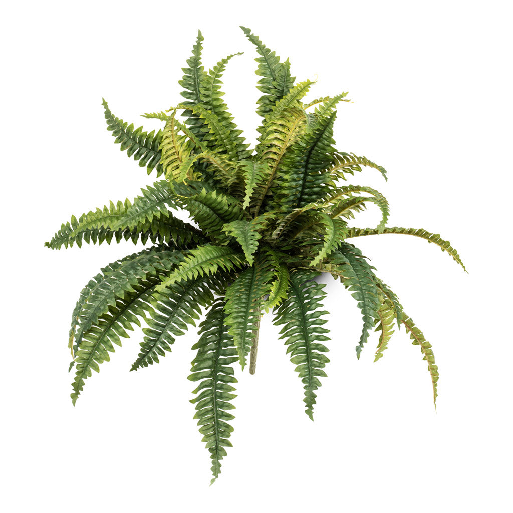 Boston Fern bush Artifical - 50cm - (40 Stems)