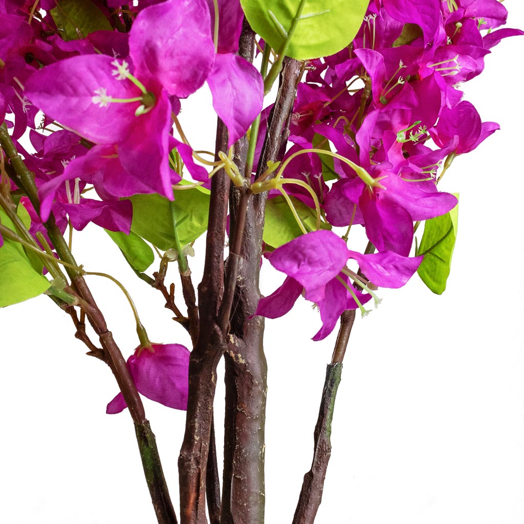 Bougainvillea Tree Purple Artificial Blossom Close Up
