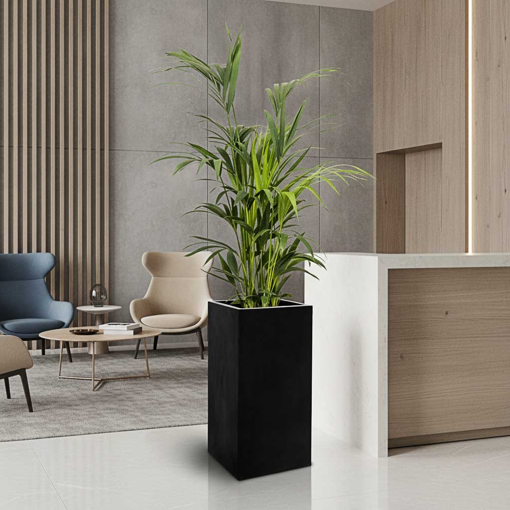Bouvy Natural Planter - Large Plant Display