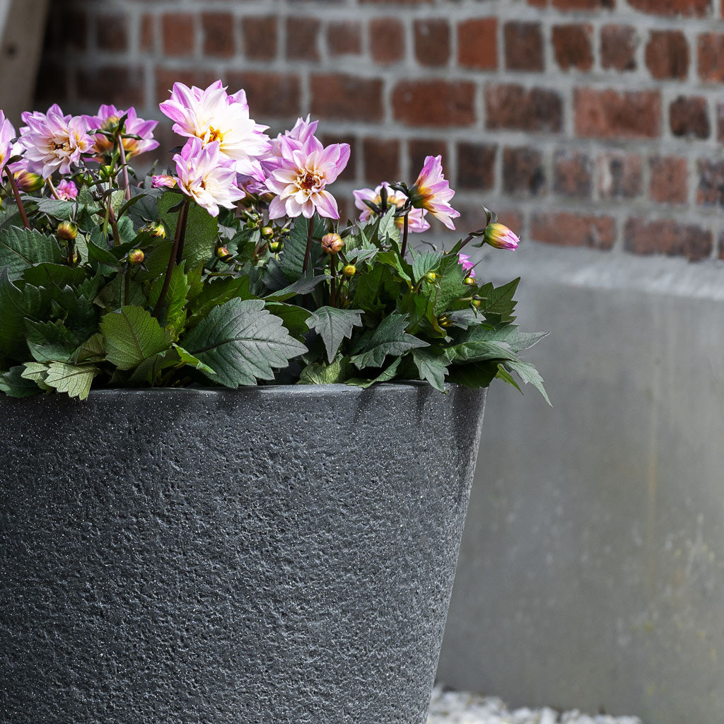 Bucket Granite Planter - Midnight Black Close Up